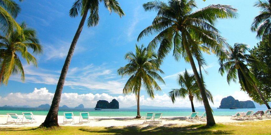 Strand Thailand Palmen